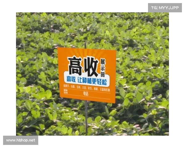 辽宁十一选五投注技巧揭秘 助你轻松掌握选号技巧 提升中奖概率 辽宁十一选五投注技巧揭秘 助你轻松掌握选号技巧 提升中奖概率